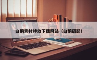 灯塔白鹅素材特效下载网站（白鹅摄影）